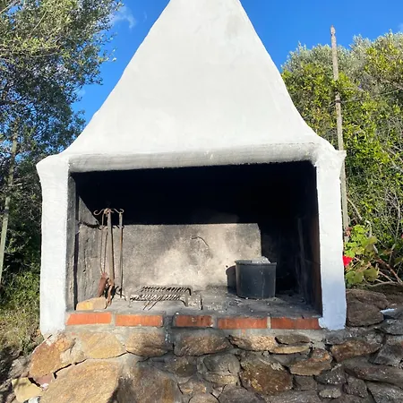 Marianna * Ольбия